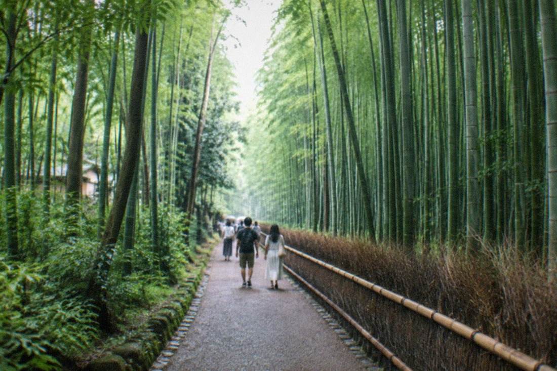 Arashiyama Walk, Sake Brewery Option, Arashiyama