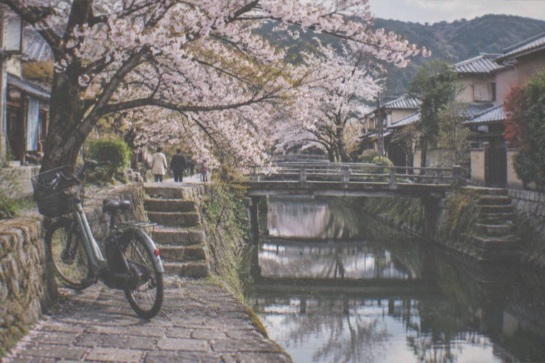 Hidden Kyoto E-Bike Tour, Kyoto