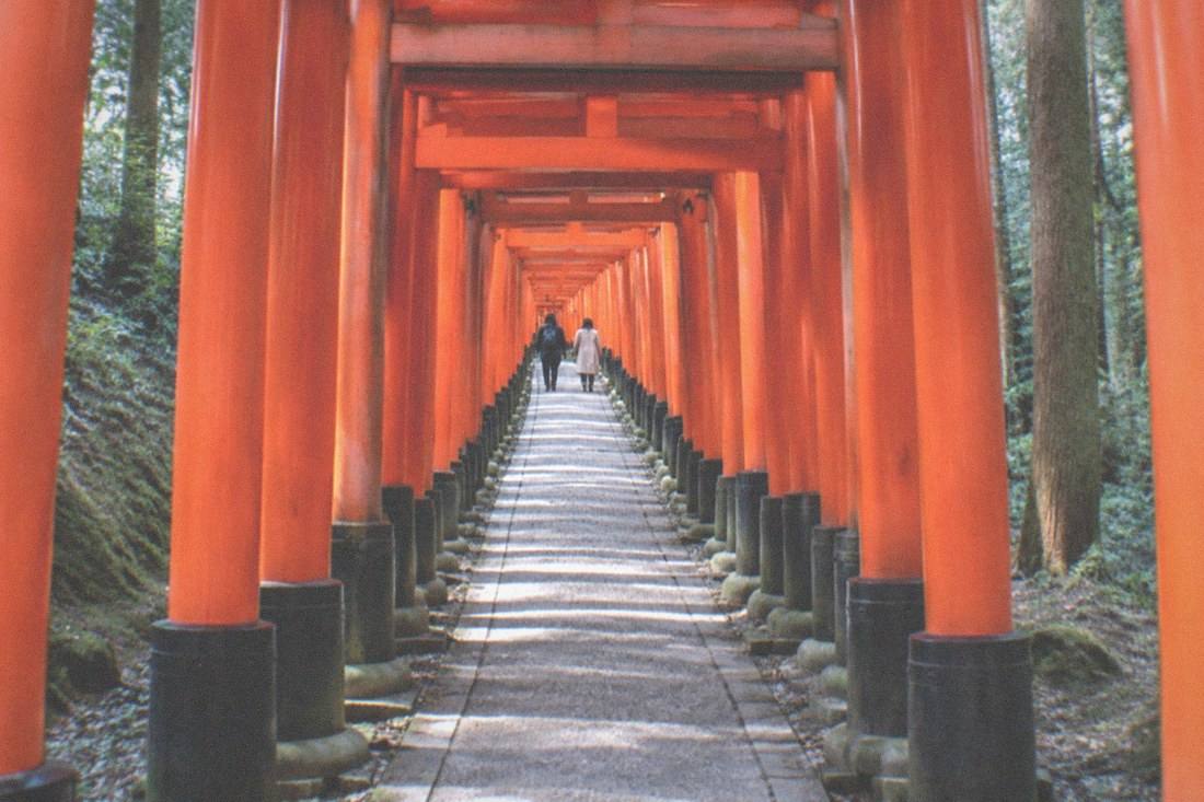 Early Morning Tour, English Guide, Kyoto