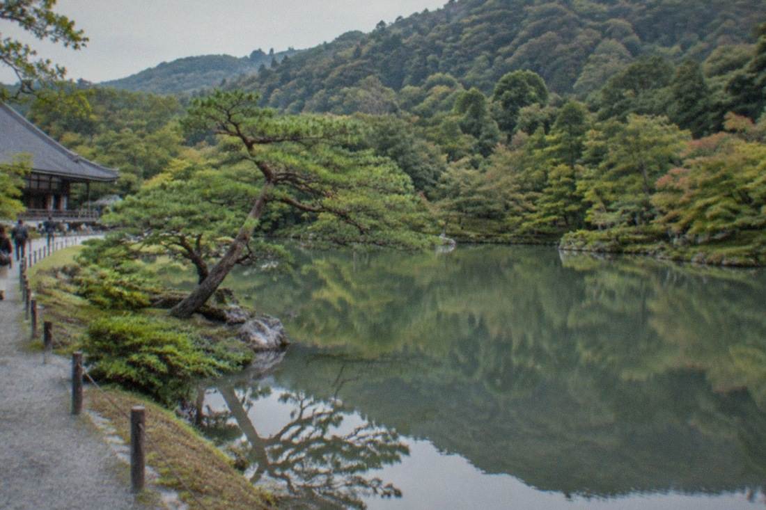 1-Day Bus Tour, UNESCO Sites, Arashiyama