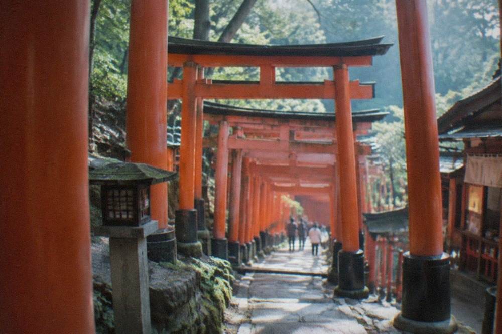Rows of vermilion torii gates climbing a forested hillside path at Fushimi Inari shrine