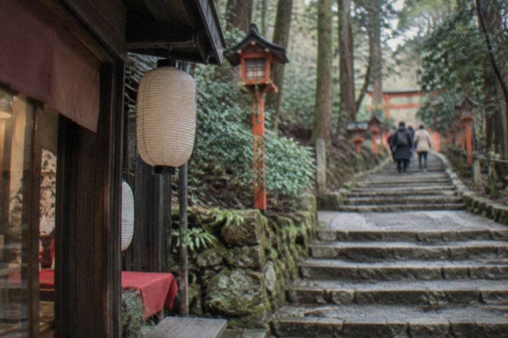 Stone steps winding uphill through cedar forest on the upper paths of Mount Inari