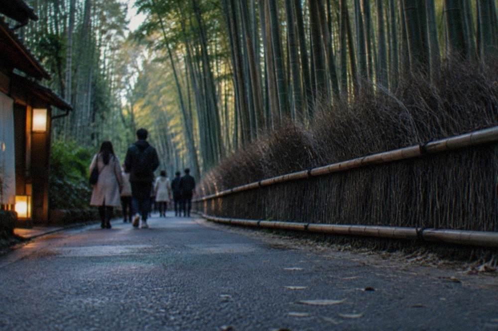Visitors walking a paved path through dense bamboo with sunlight filtering between the stalks