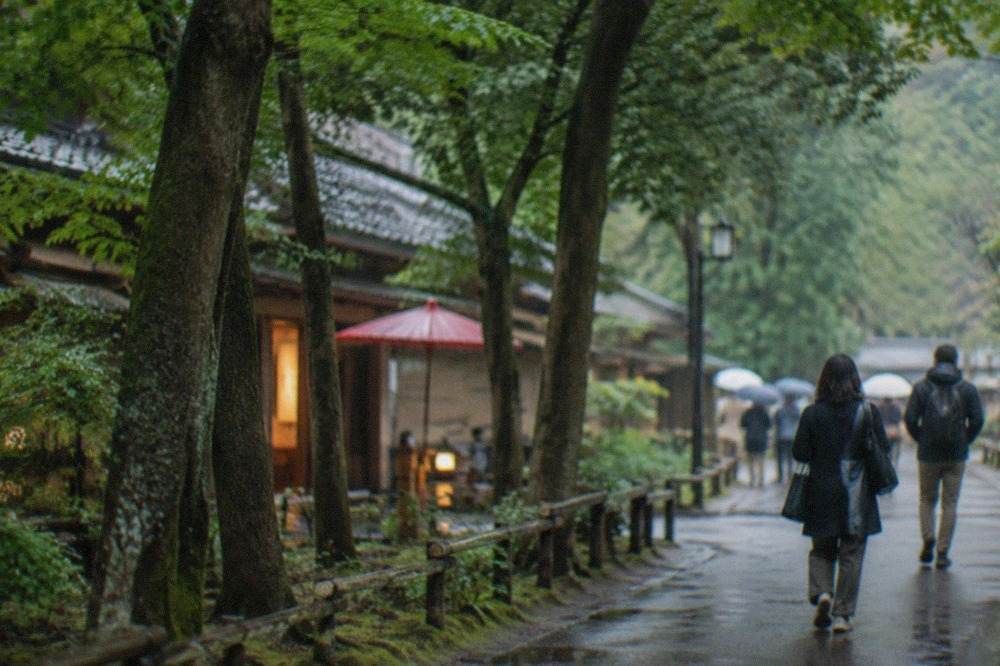 Wooded hills of a Japanese park with a walking path winding between tall trees