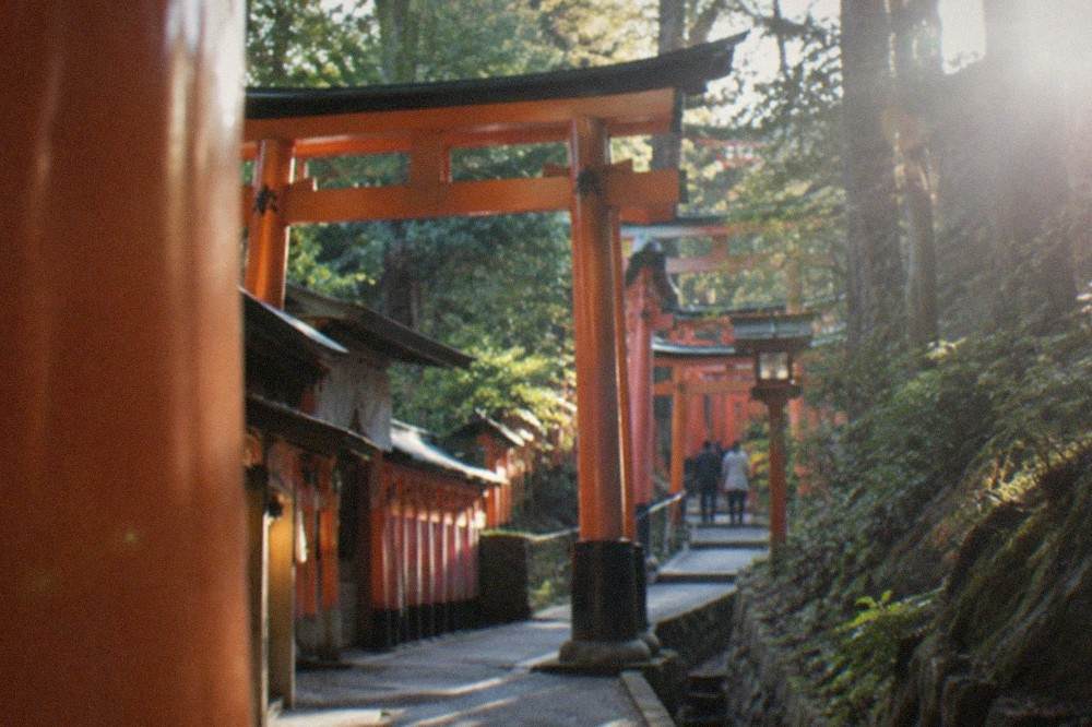 Red torii gates of Fushimi Inari winding up a forested hillside in soft morning light