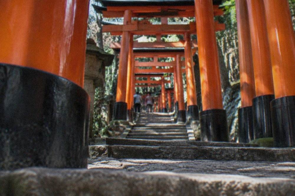 Vermilion torii gates climbing a wooded hillside at a Kyoto shrine