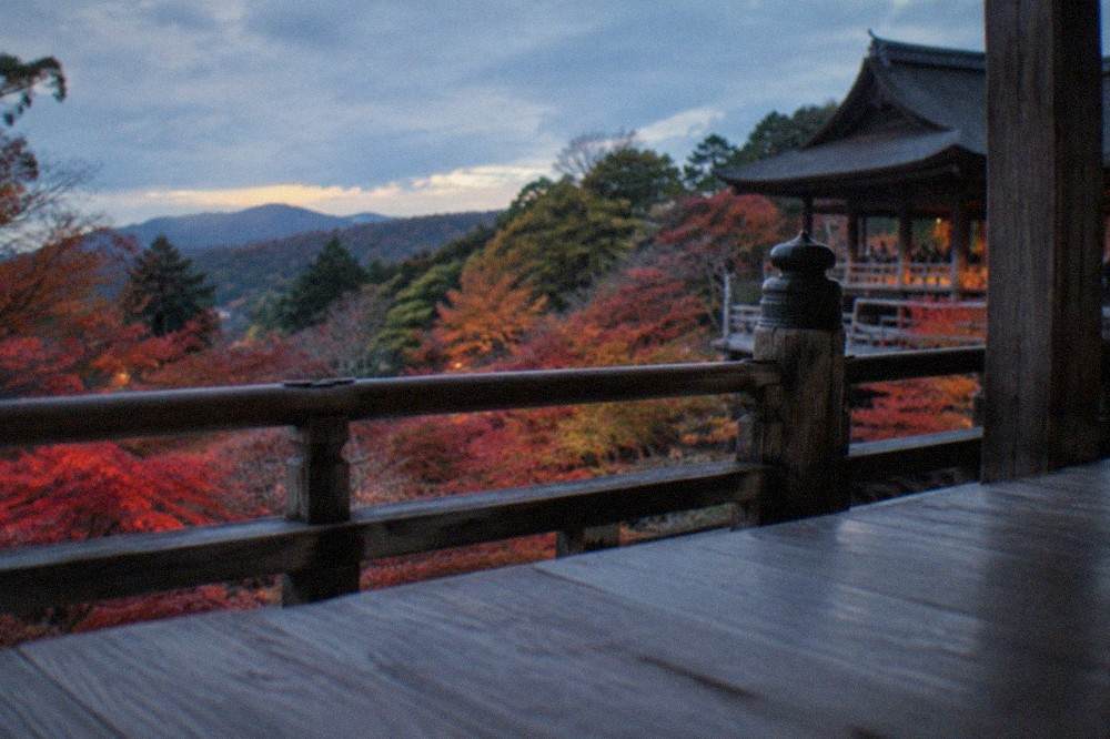 A wooden viewing platform over a valley of red and orange maple trees at a Kyoto temple