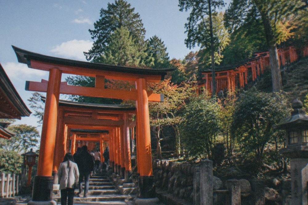 Rows of vermilion torii gates climbing a wooded hillside at Fushimi Inari shrine in Kyoto