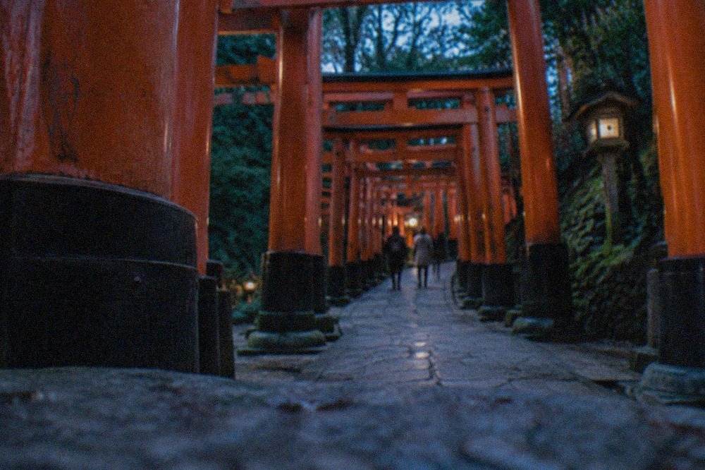 Vermilion torii gates packed closely together along a stone path on a forested hillside