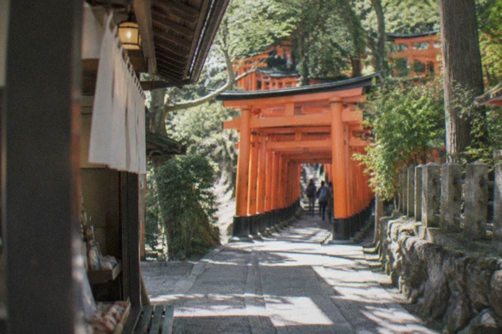 Rows of vermilion torii gates climbing a wooded hillside at Fushimi Inari in Kyoto