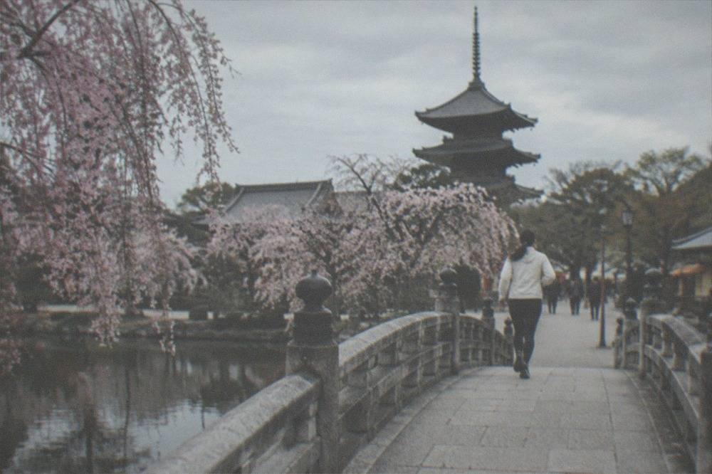 A stone bridge over a pond in the Heian Shrine garden with weeping cherry trees and a tall pagoda behind
