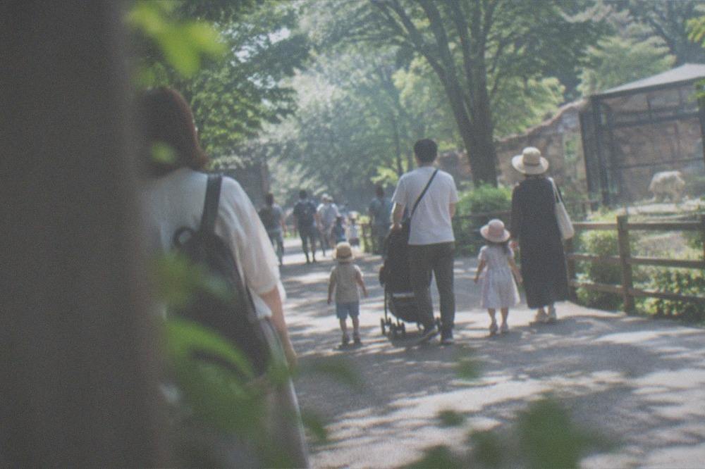 Families with children walking a tree-lined path inside Kyoto City Zoo on a sunny afternoon
