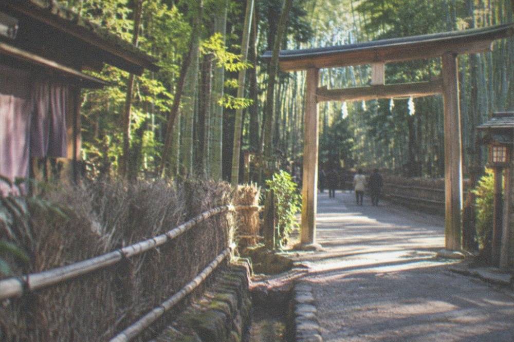 A small wooden torii gate marking Nonomiya Shrine at the edge of the bamboo path