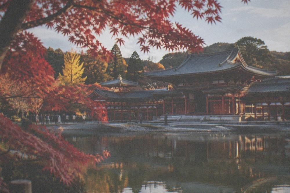 Red maple leaves framing the Phoenix Hall pond at Byodo-in in late autumn