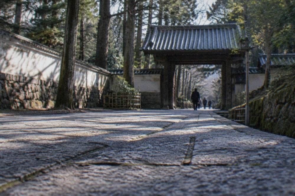 A walled stone path leading to a wooden temple gate under tall trees in northern Kyoto