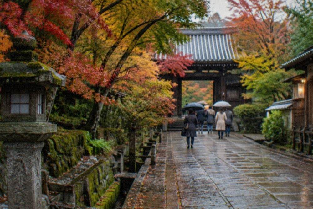 A stone-paved lane in Kyoto lined with maple trees leading toward a temple gate