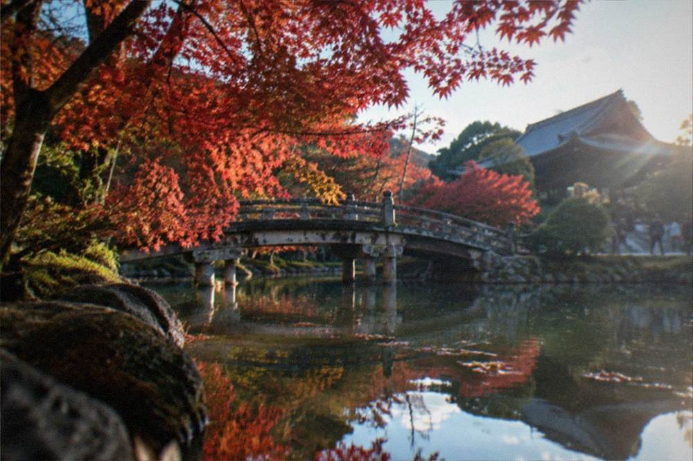 A garden pond reflecting red maples and a stone bridge at a Kyoto temple