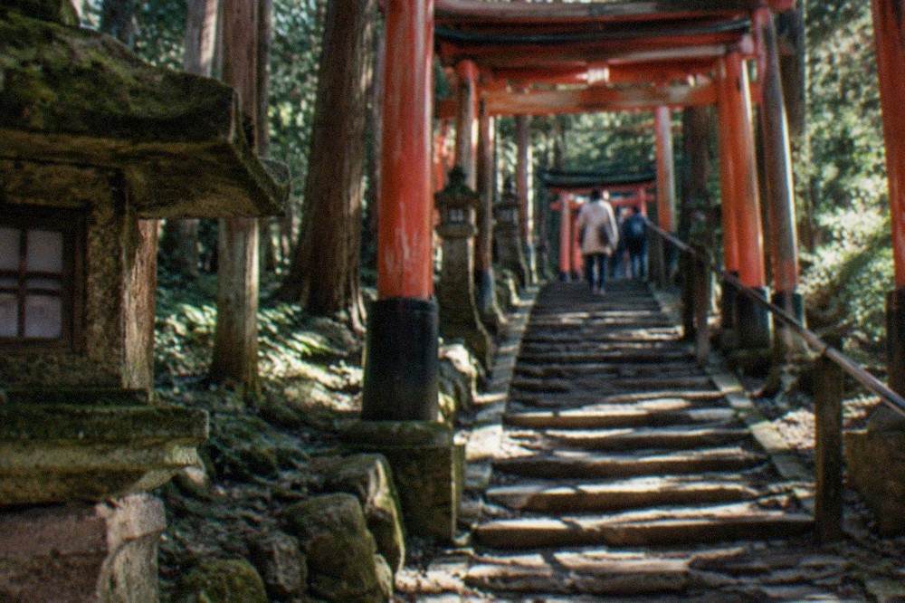 The steep stone stairway through cedar trees on the upper Fushimi Inari trail