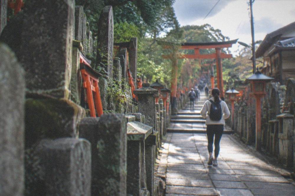 Dense rows of carved worship stones on the upper Fushimi Inari trail