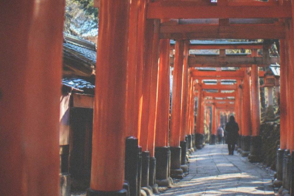 Vermilion torii gates forming a tunnel on the Fushimi Inari mountain path