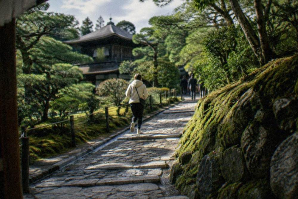 A stone path curving uphill past moss and trimmed pines at a temple