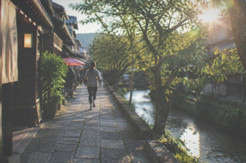 A tree-lined canal path with stone paving running between wooden houses