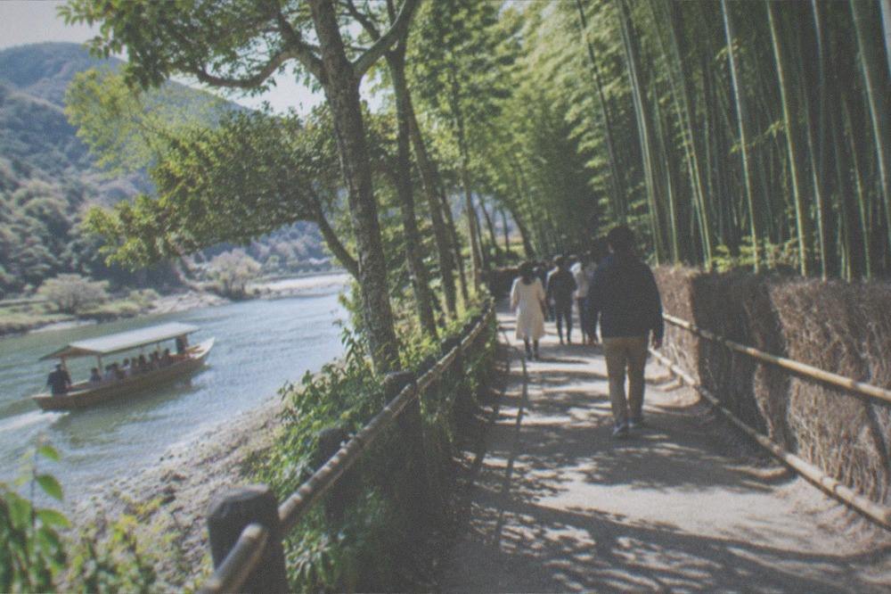 A tall bamboo grove path with sunlight filtering through green stalks