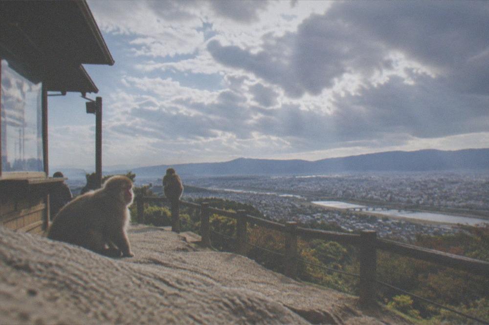 The viewing terrace at the monkey park summit looking out over Kyoto city and the river