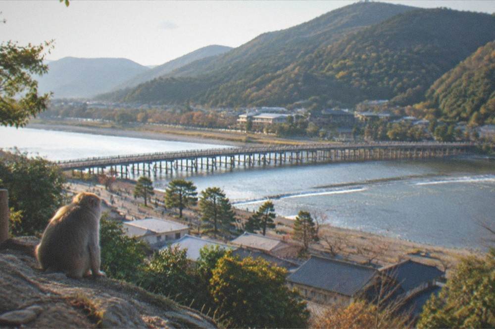 Togetsukyo bridge and the Katsura river seen from the hillside above Arashiyama