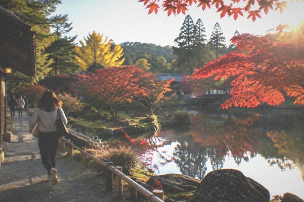 Maple trees with red autumn leaves reflected in a garden pond in Kyoto