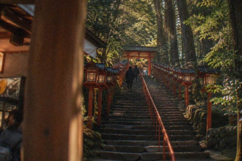 A long stone stairway rising through tall cedar trees toward a shrine gate, with rows of lanterns along both sides