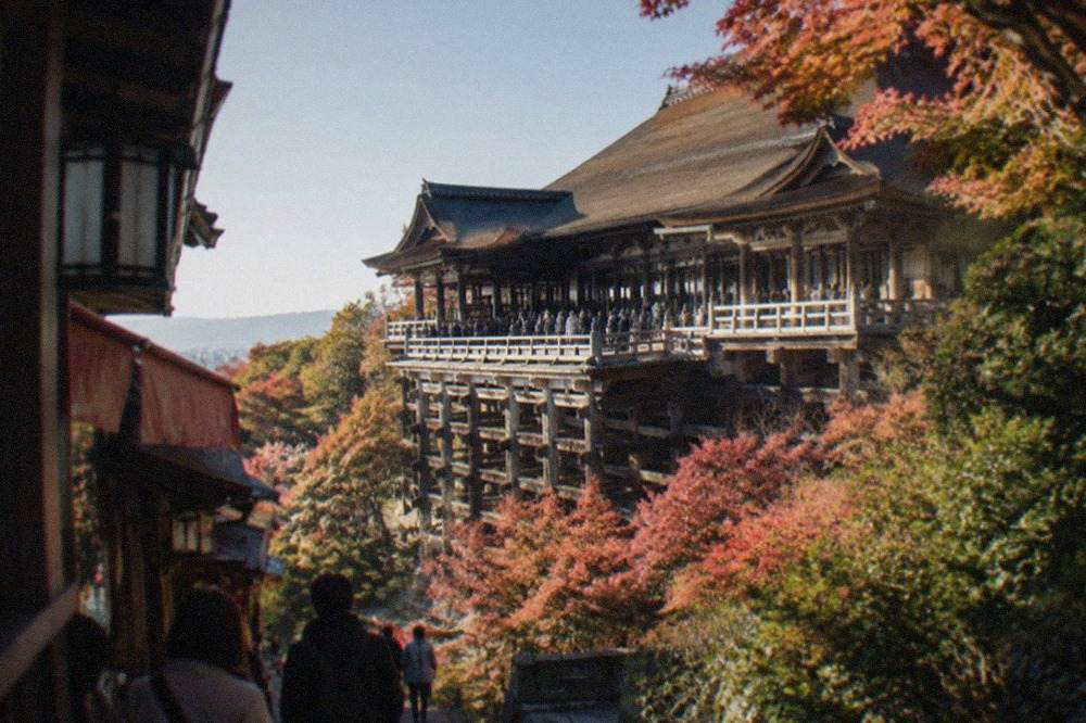 The wooden stage of Kiyomizu-dera seen from below, with the temple hall rising above maple trees