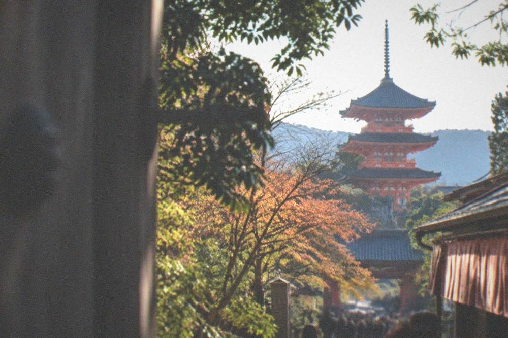 The red three-storey pagoda of Kiyomizu-dera seen through trees from the temple entrance