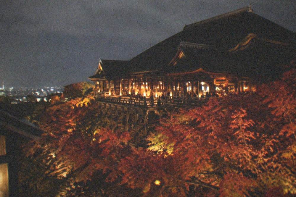 The illuminated main hall of Kiyomizu-dera at night with lit maple trees in the foreground