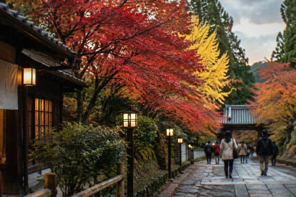 Maple trees in full autumn colour lit by soft evening lamps along a temple path