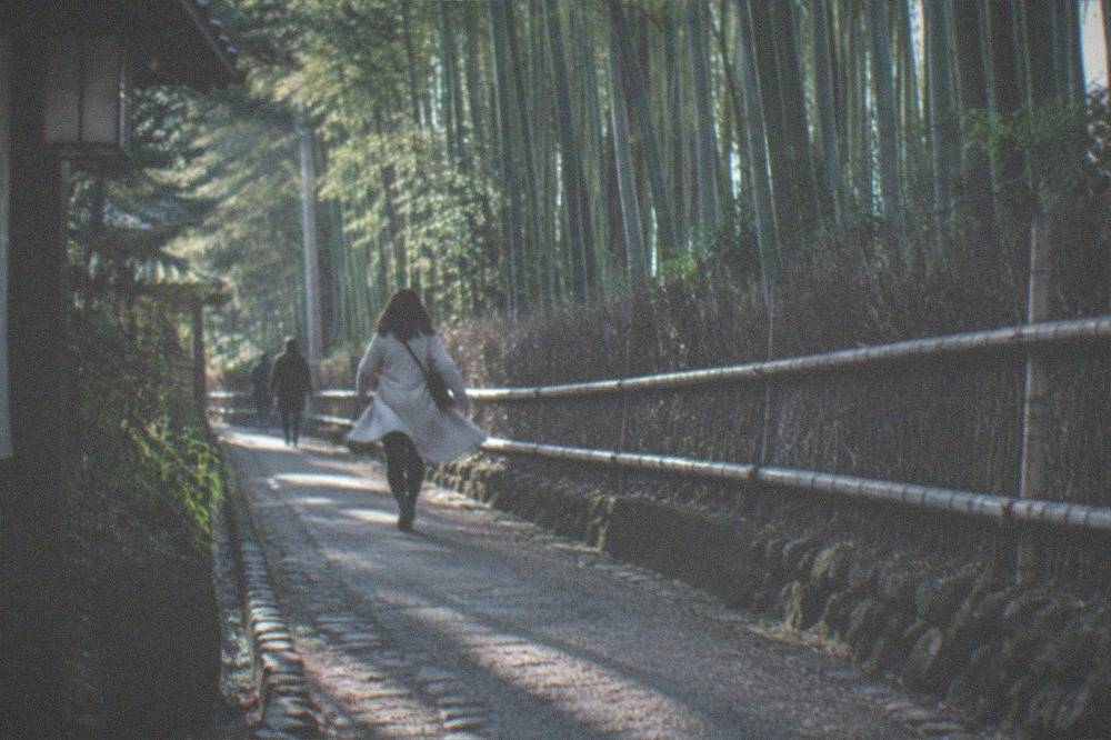 A dense bamboo grove on the upper path of a Kyoto temple garden