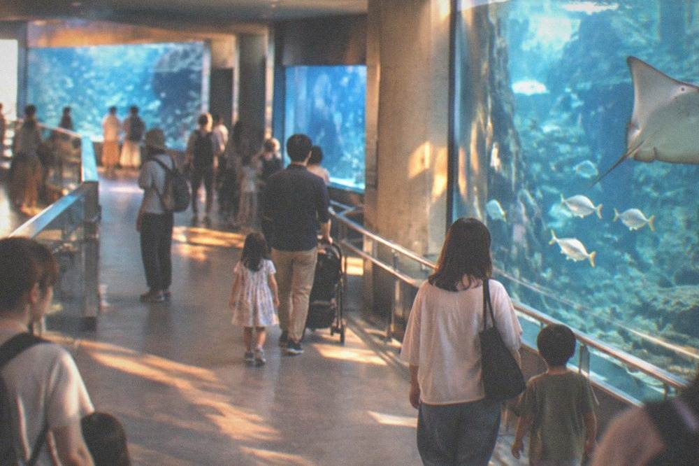 Families with children walking through a bright indoor aquarium corridor lined with tanks