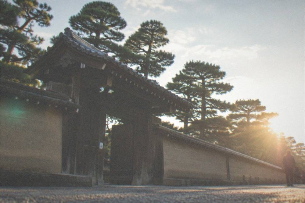 A low wooden gate in a long earthen wall with trimmed pines behind it inside the palace grounds