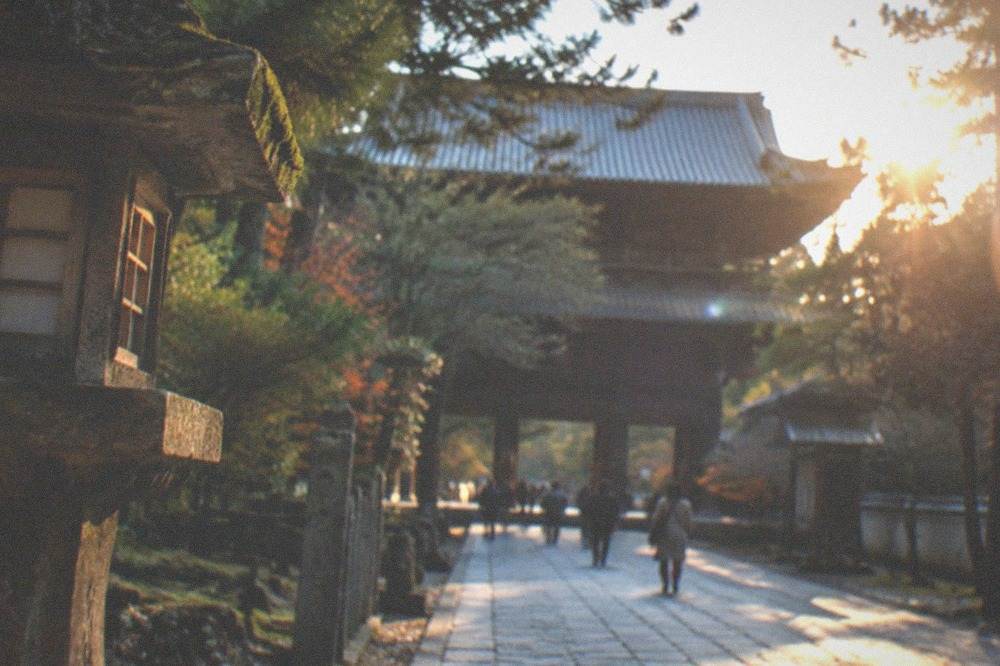A stone-paved approach lined with trees leading toward a large temple gate