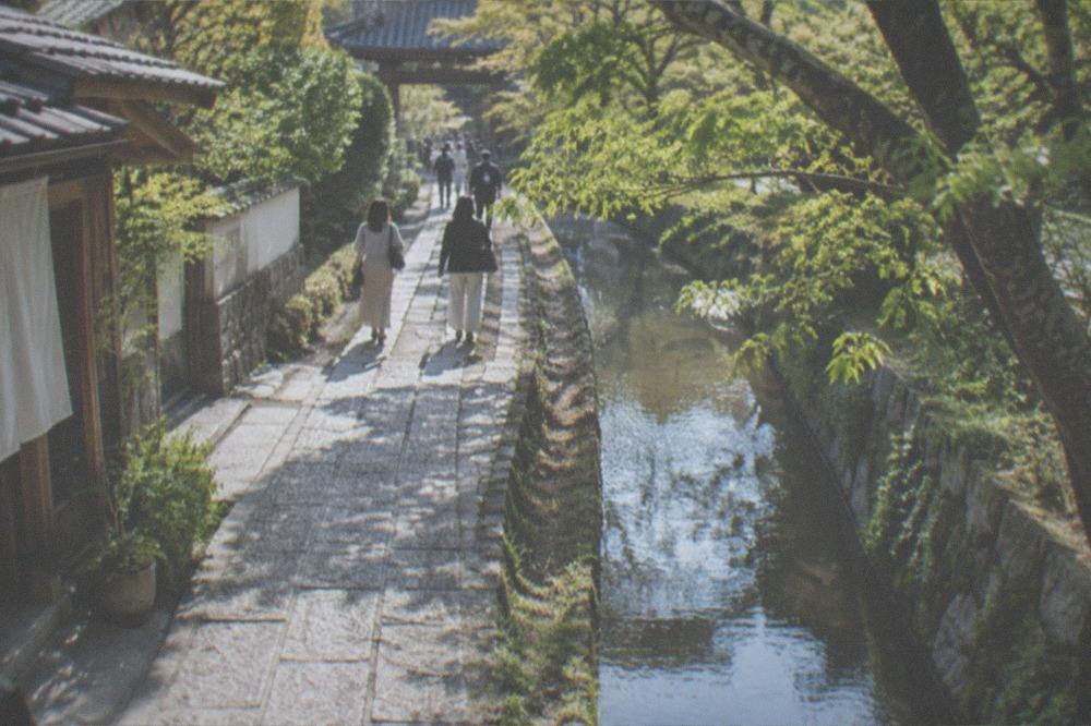 A canal-side stone path beneath trees, with water running along a narrow channel