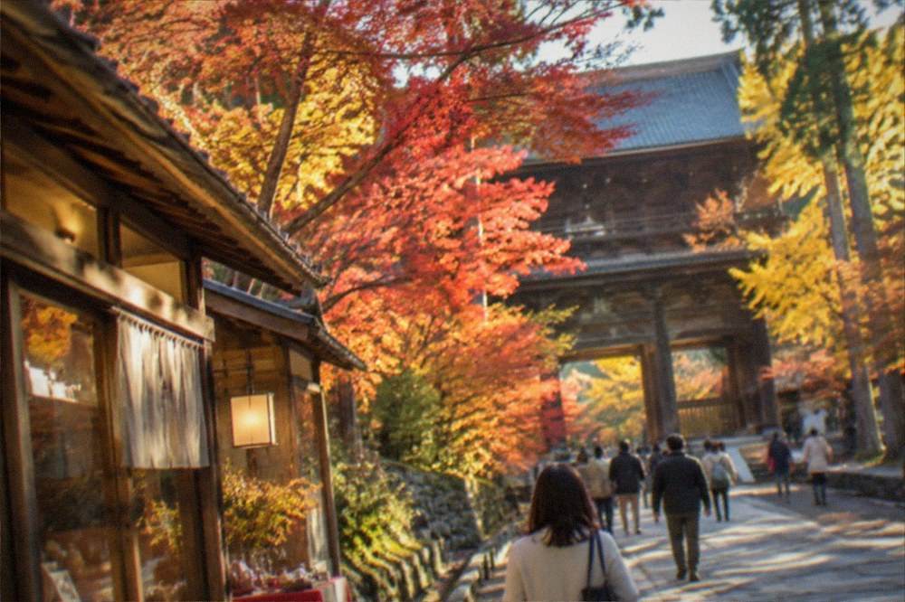 Autumn maple trees with red and orange leaves framing a traditional wooden building