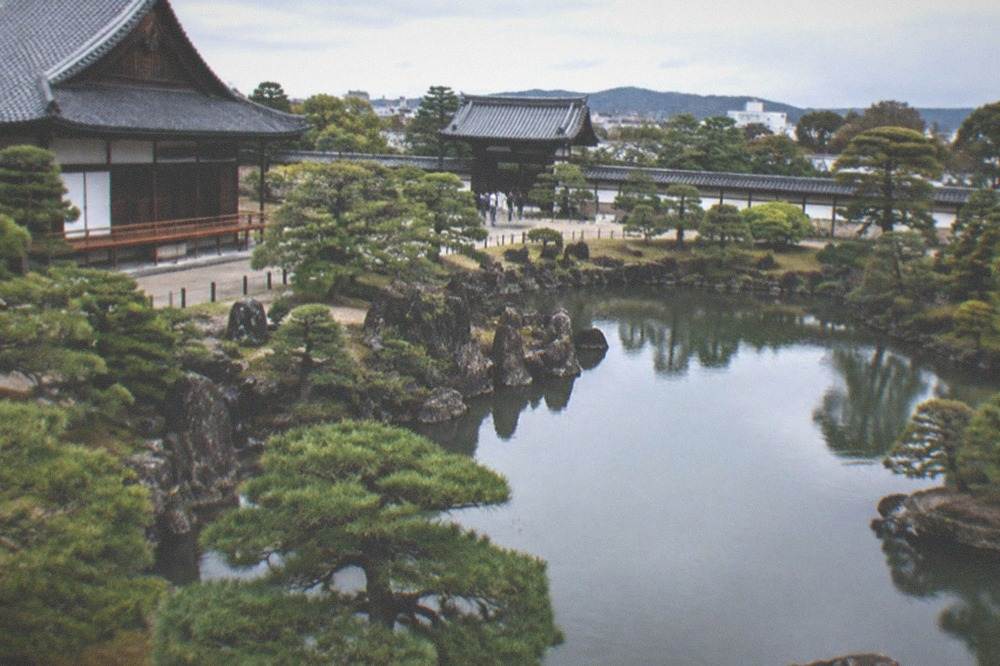 A classical Japanese garden with a pond, stones and clipped pines inside Nijo Castle