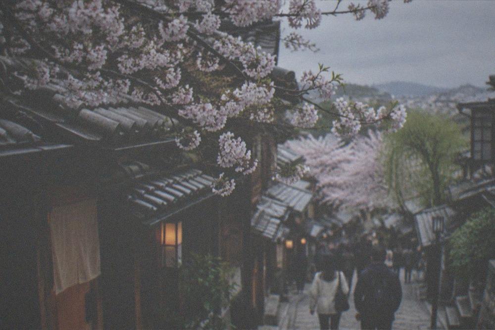 Cherry blossom branches over the tiled roofs of the preserved slope streets in spring