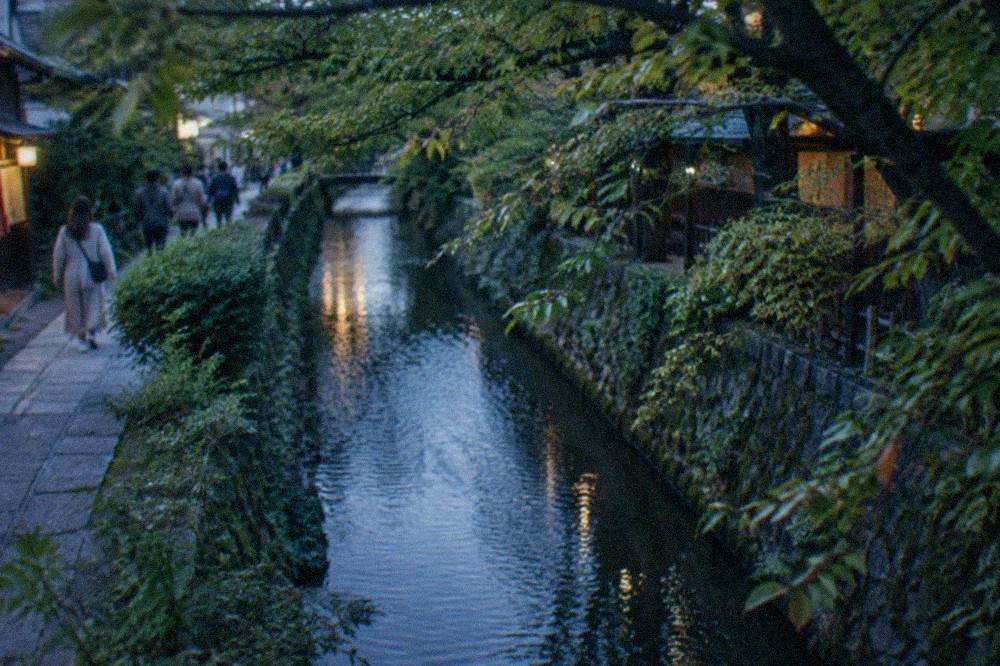 A narrow canal running between stone banks with trees overhanging the water