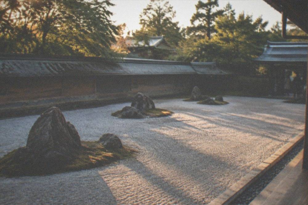 Morning sunlight raking across white gravel in a Zen rock garden, stone clusters casting long shadows