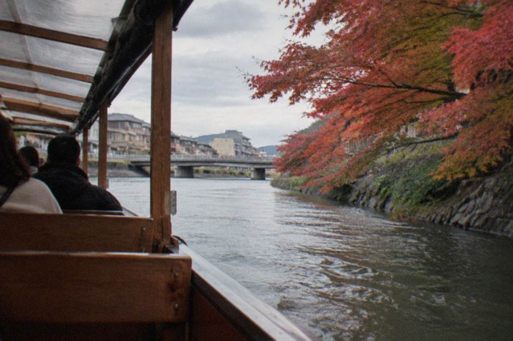 Open-sided sightseeing carriage with wooden bench seating passing close to maple trees along a riverbank