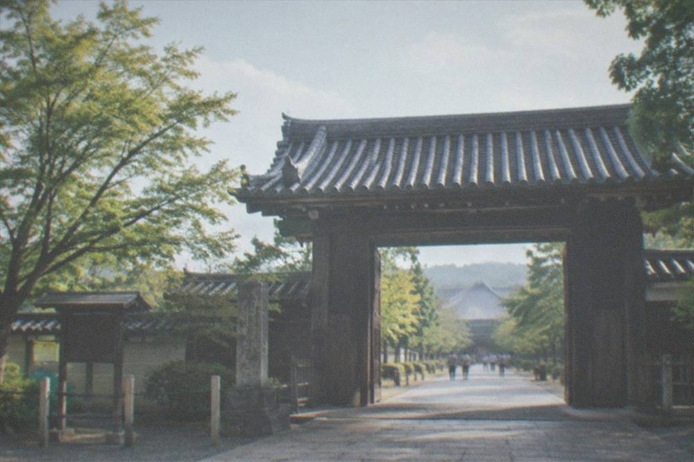 A temple entrance gate with a stone path and trees, on a quiet morning in Kyoto