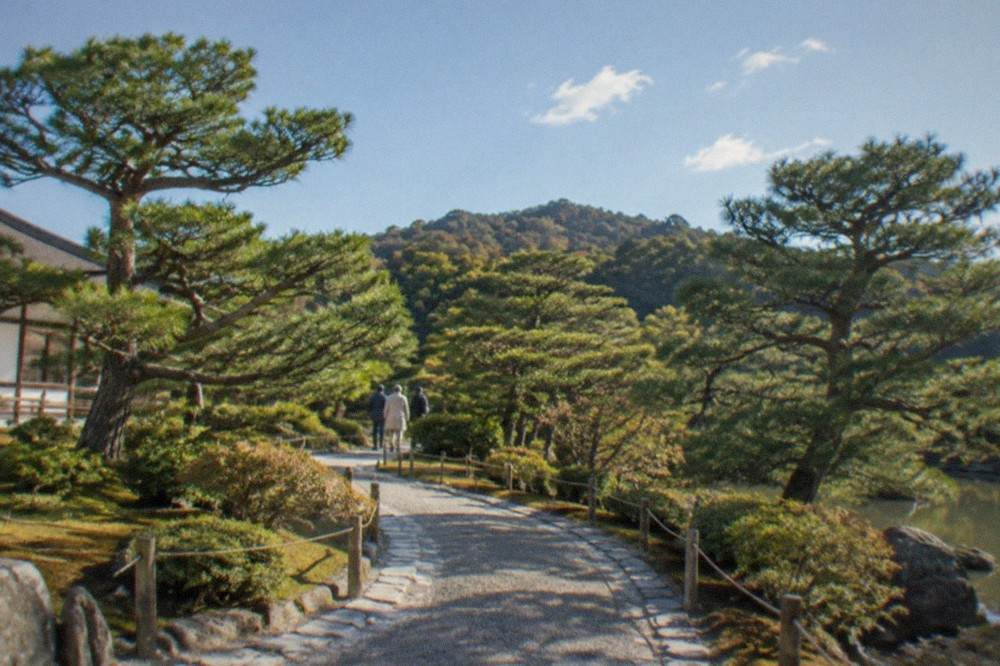 A stone path curving through manicured pine trees in the lower garden of the Shugakuin Imperial Villa