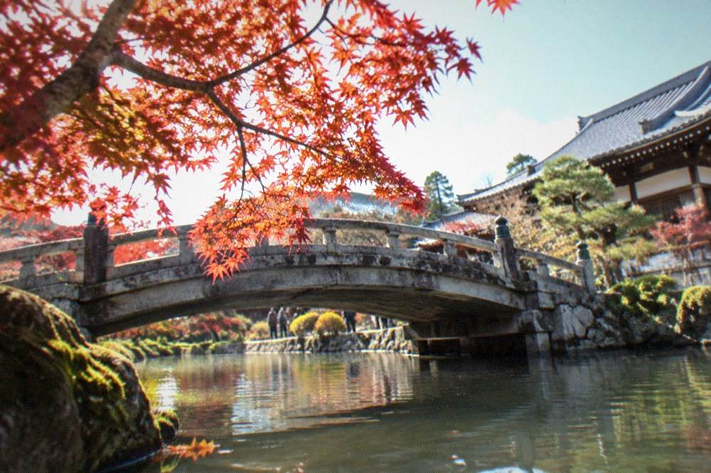 A stone bridge crossing a pond with maple branches over the water