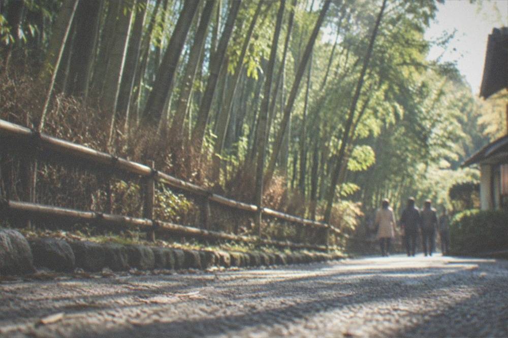 Tall bamboo stalks leaning over a walking path in Arashiyama